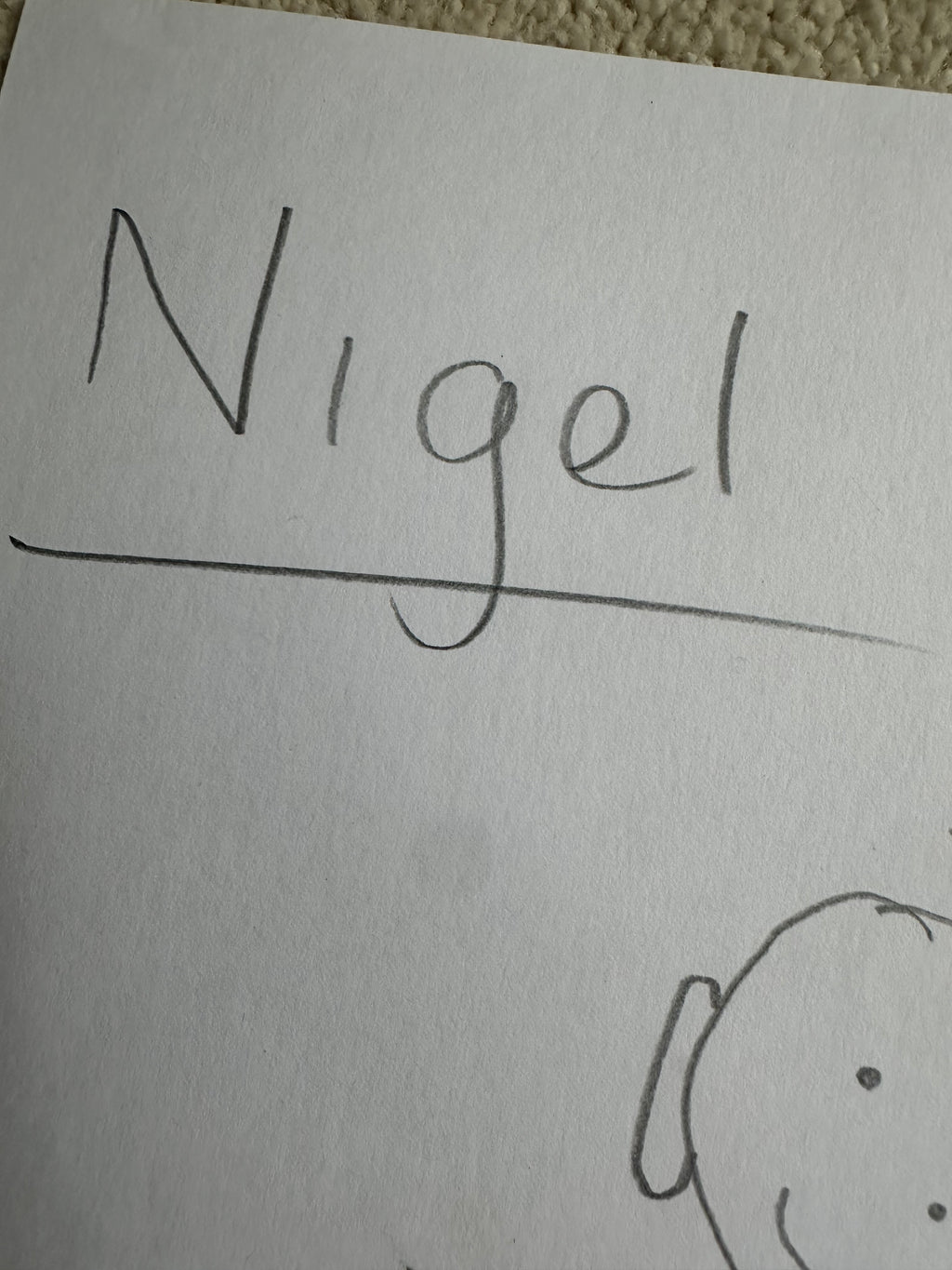 Nigel - Original Pencil Drawing, 1 of 1